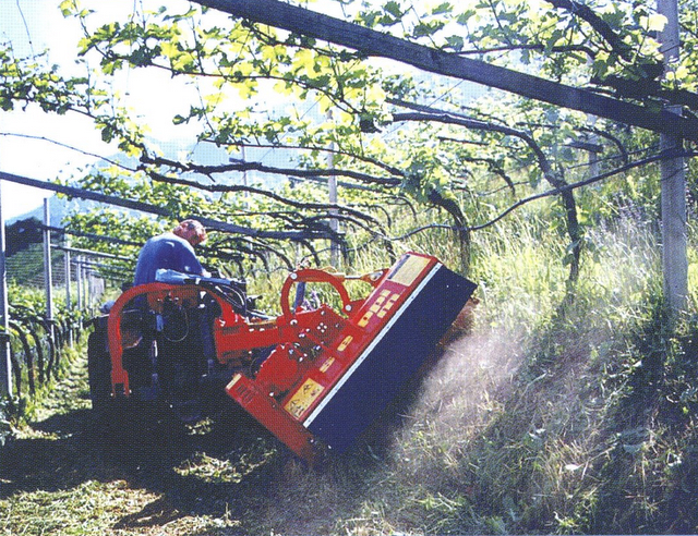 Böschungsmulcher Seppi SMWA-avs 125 2xhydr. - zum Schließen ins Bild klicken