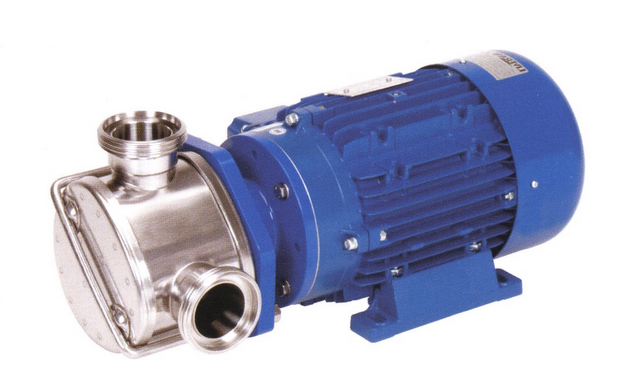 Impellerpumpe LIVERANI EP-MINOR 900 kompl. o. Ans.