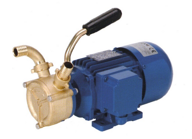 Kreiselpumpe EP H20 Bronze LIVERANI